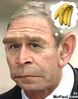 presidentoftheapes.jpg