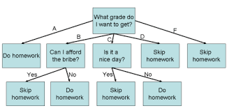  Root Details In masters essay Described doanessays.com