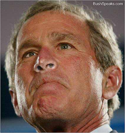 [bush_sniffs.jpg]