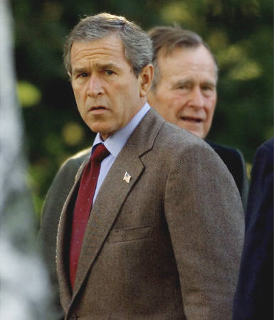 [poppy_and_shrub.jpg]