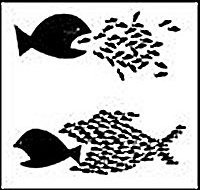 [bigfish.jpg]
