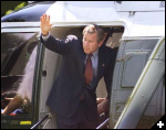 [bumb head2 aug 02]