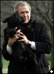 [bush and barney]