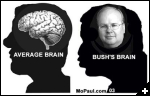 [bush brain]