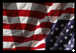 [bush flag1]