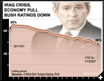 [bush jan03 graphic]