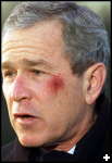 [bush scarAP346x500]