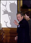 [bush shadow]
