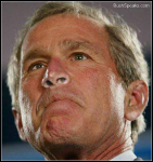 [bush sniffs]
