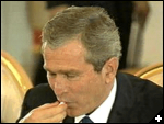[bush spitting]