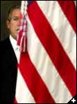 [flag bush]