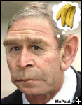 [presidentoftheapes]