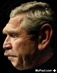 [profile in stupidness]