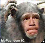 [bushmonkey]