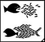 [bigfish]