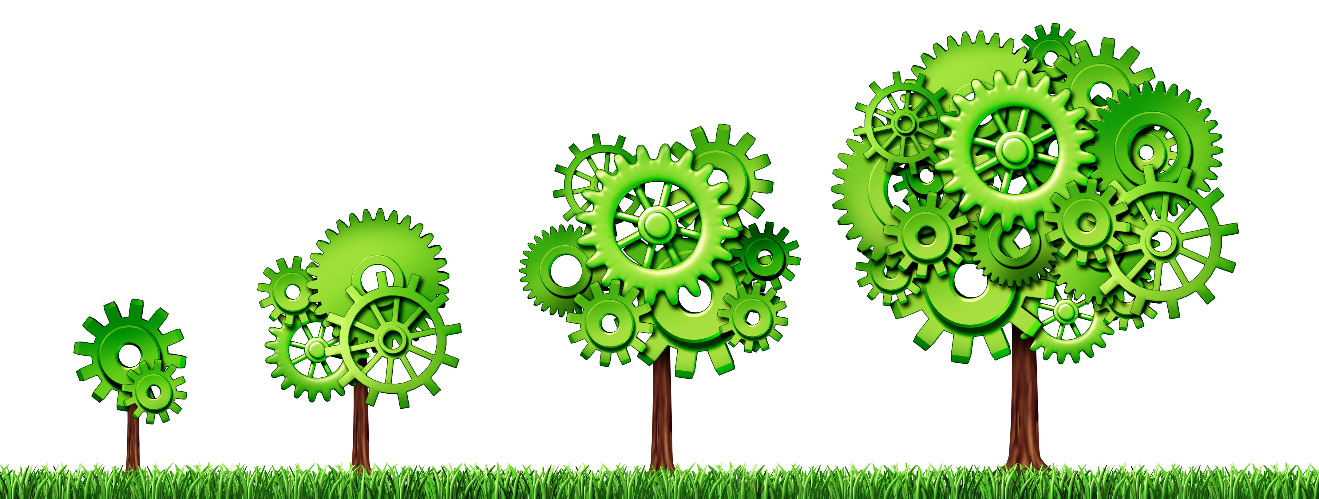 Simple Steps on How to Make Your Small Business Green