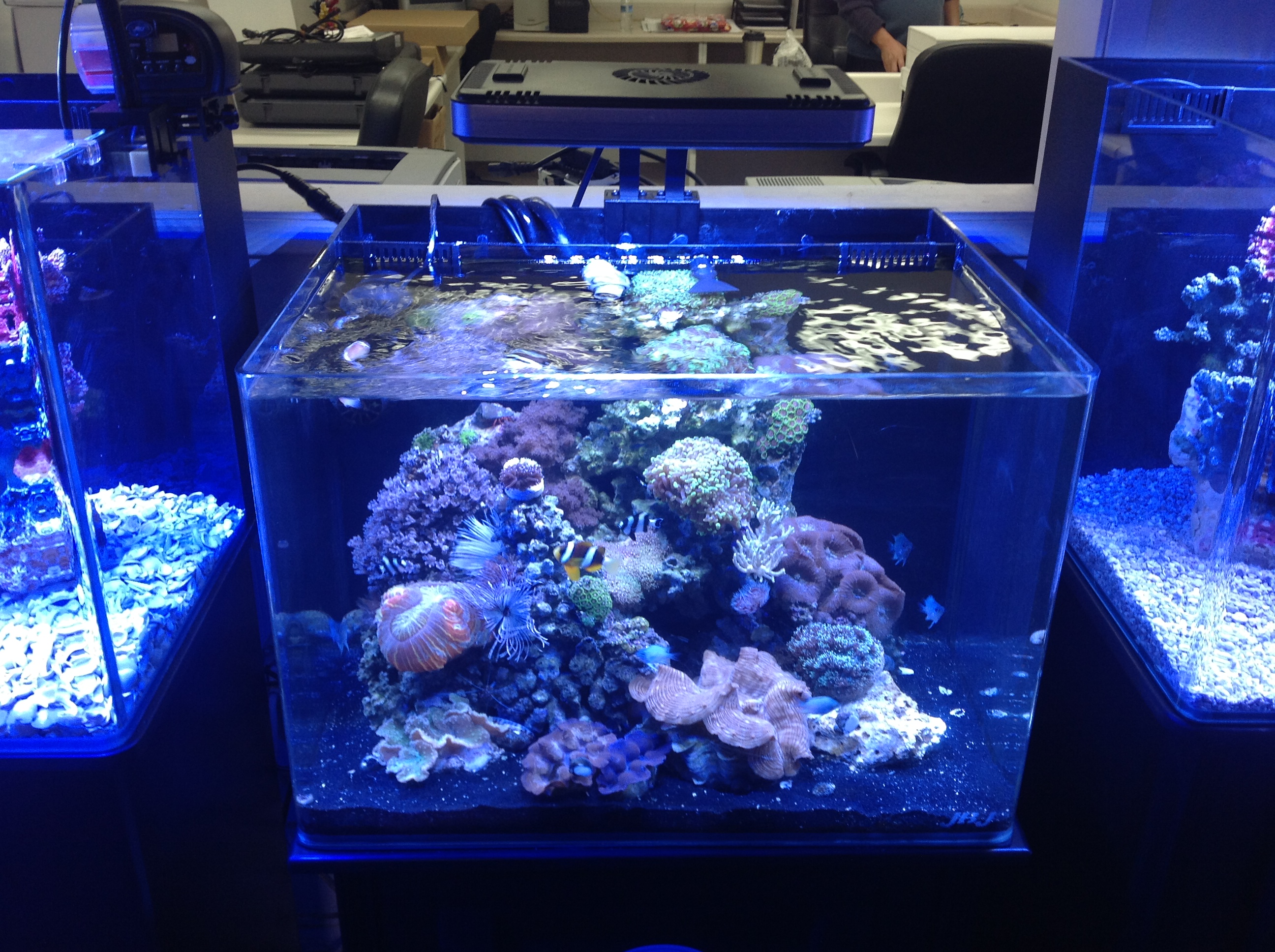 The Benefits of All in One Tanks