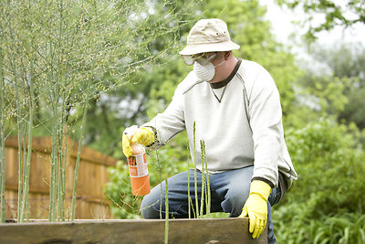Pesticide-Spraying-Techniques-