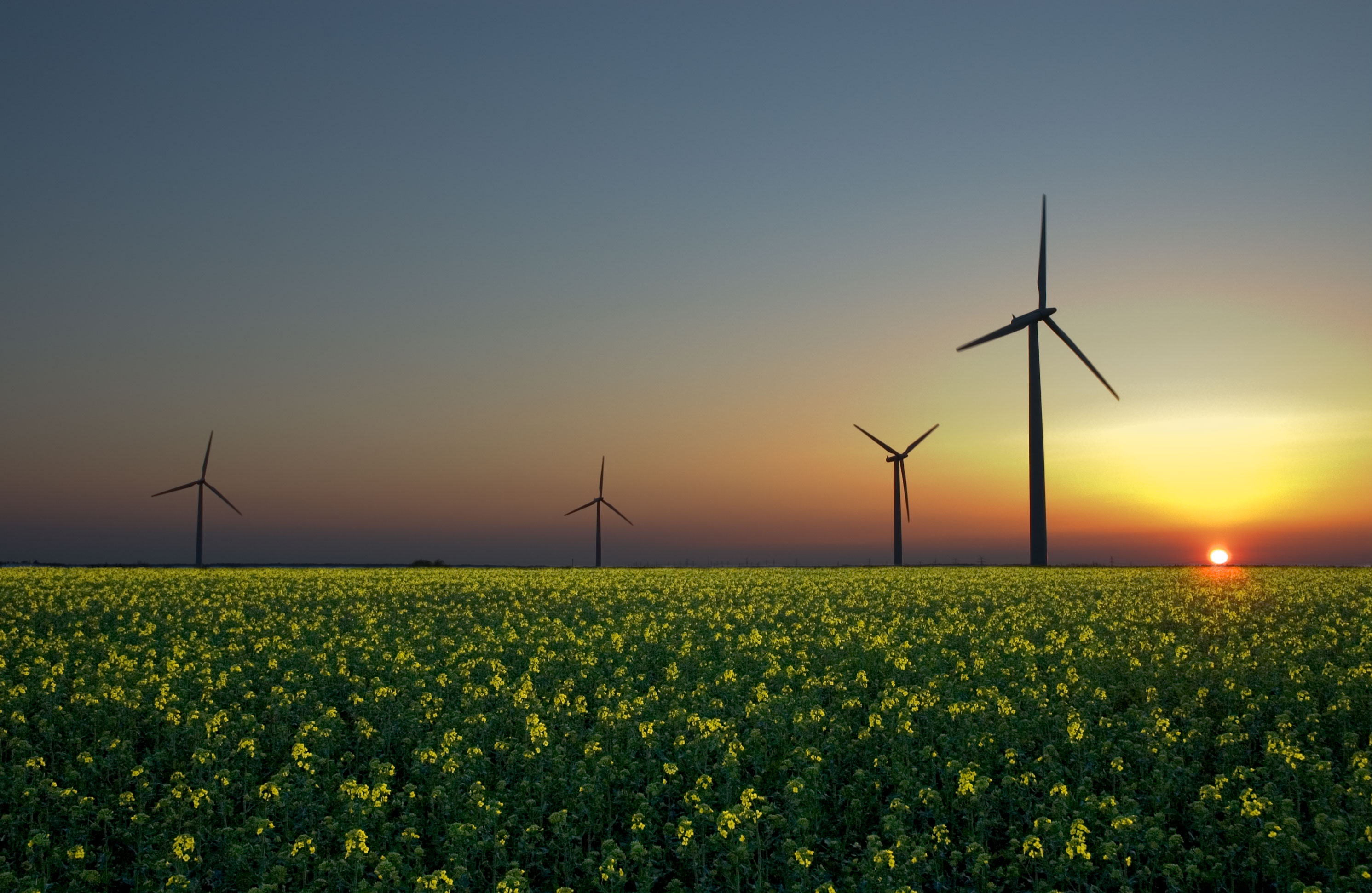 How it Works: Renewable Energy Sources Explained