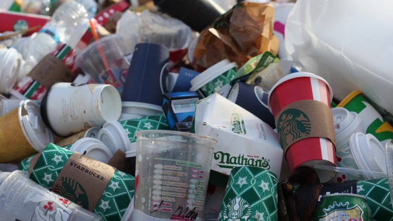 How to Reduce Food Waste in Your Restaurant
